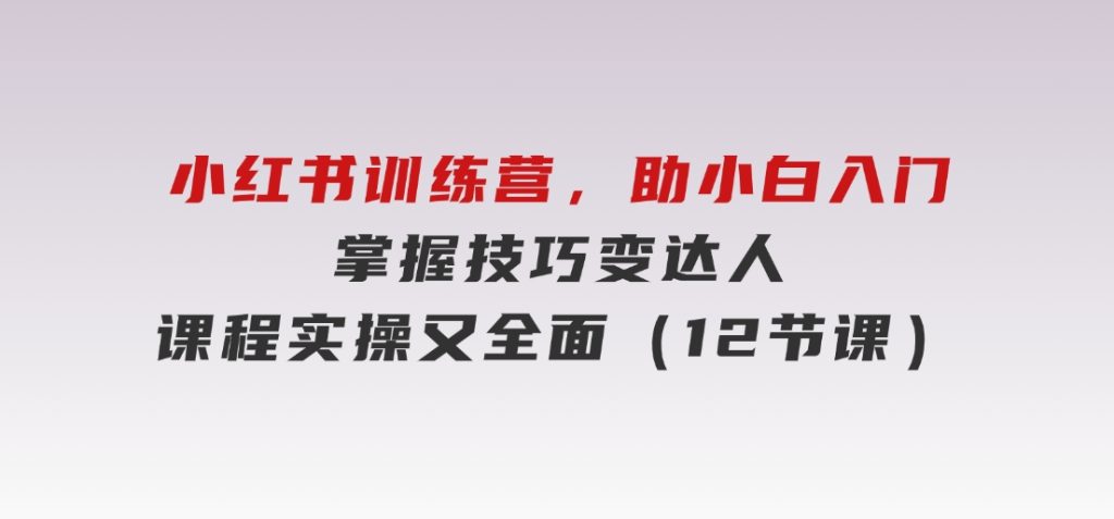 小红书训练营，助小白入门，掌握技巧变达人，课程实操又全面（12节课）-十一网创