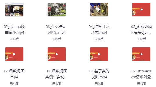 Django+Vue：PythonWeb全栈开发-十一网创