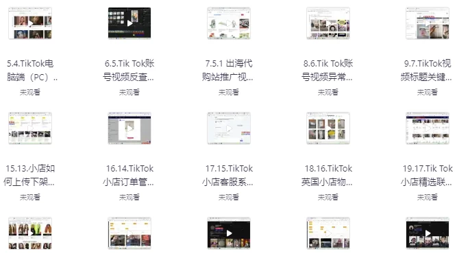 TikTok跨境短视频零基础到精通网赚变现课-十一网创