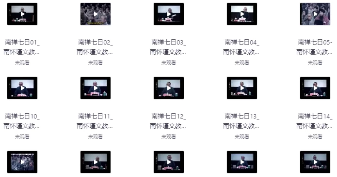 南禅七日（视频讲座+音频+文档21集）-十一网创