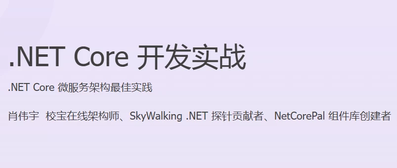 NETCore开发实战-十一网创