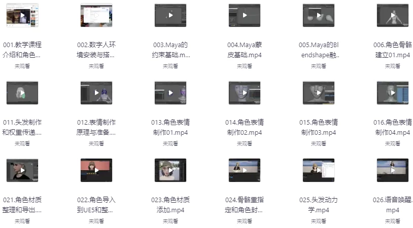 AI虚拟数字人智能体-UE5实时语音交互2025–带素材-十一网创
