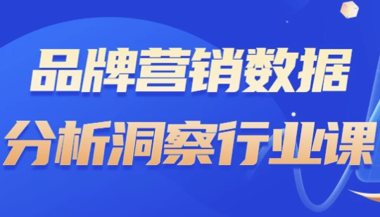 品牌营销数据分析洞察行业课-十一网创