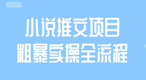 小说推文项目粗暴实操全流程-十一网创