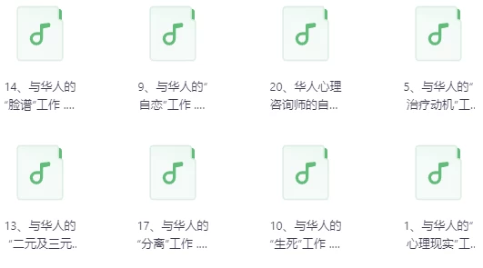 中国人的心理治疗音频20讲-十一网创