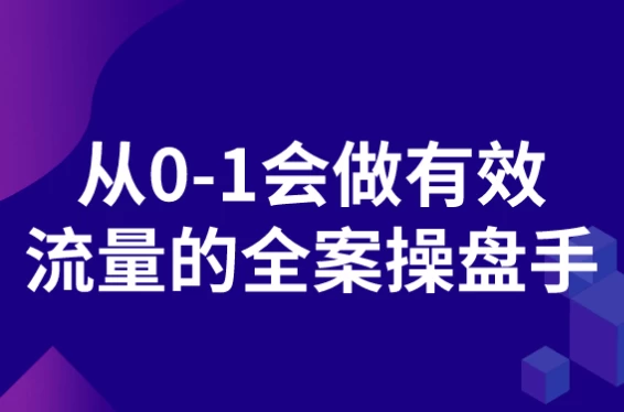 从0-1会做有效流量的全案操盘手-十一网创