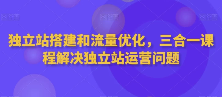 独立站搭建和流量优化三合一课程-十一网创