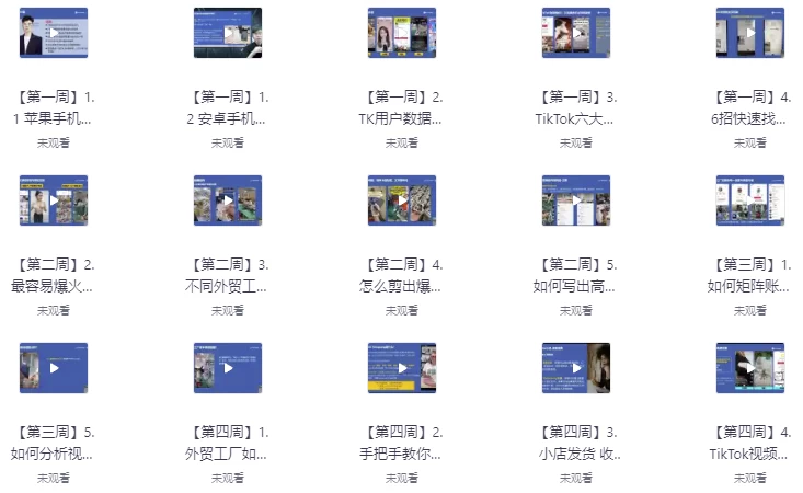 TikTok外贸工厂陪跑训练营-十一网创