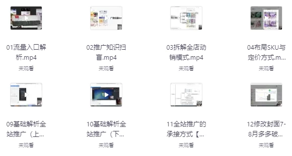 拼多多系统化课程-十一网创
