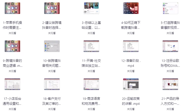 TikTok+独立站0基础入门到精通，跨境电商独立站新手必学课-十一网创