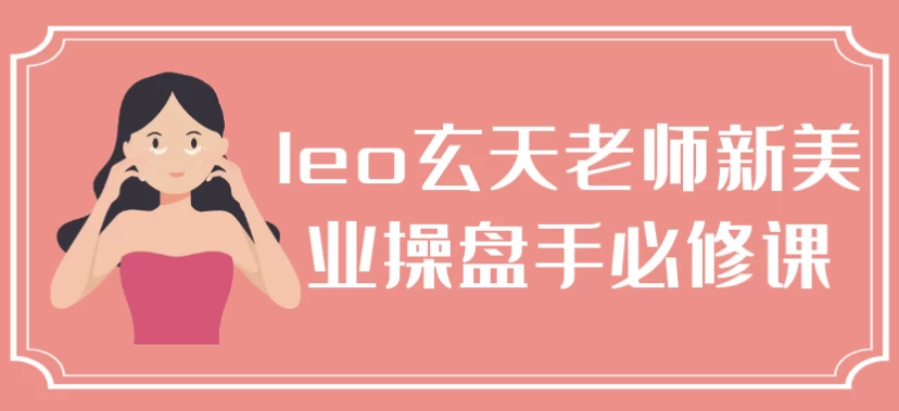 leo玄天老师新美业操盘手必修课-十一网创