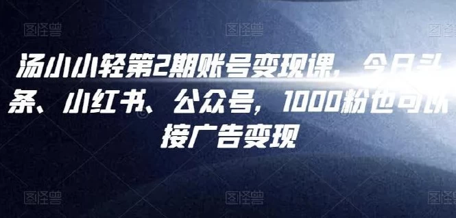 汤小小账号变现课第2期-十一网创