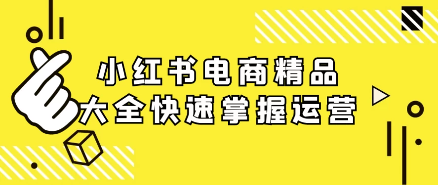 小红书电商精品大全快速掌握运营-十一网创