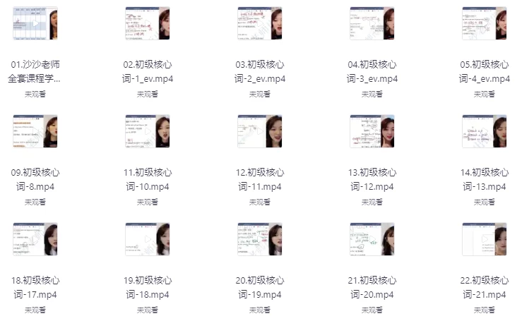 沙沙老师单词+语法初级二合一（341节）-十一网创