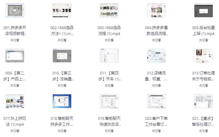 拼多多精细化运营店铺0-1，从零起步到爆单详细教程-十一网创