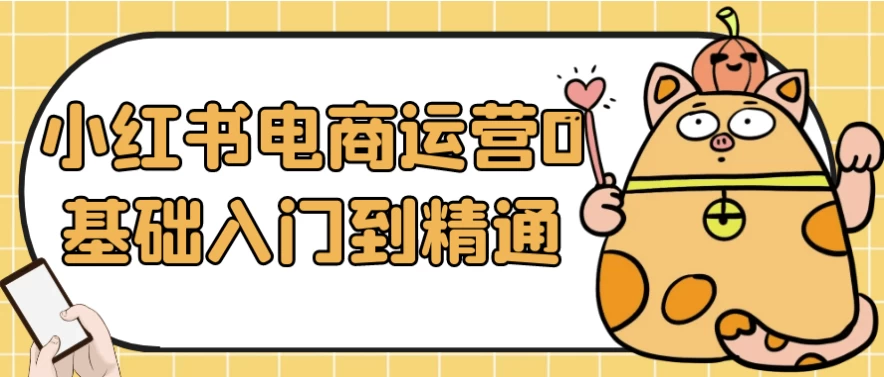 小红书电商运营0基础入门到精通-十一网创