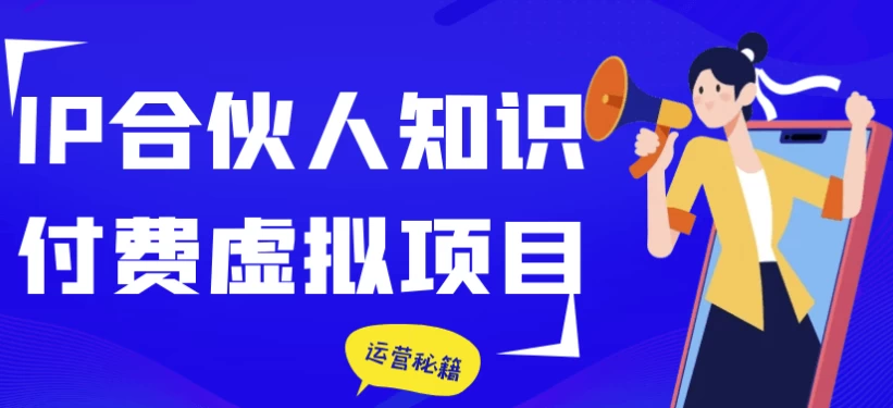 IP合伙人知识付费虚拟项目-十一网创