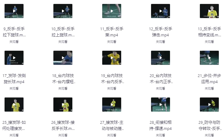 （全世爆）乒乓专业乒乓球教学课-十一网创