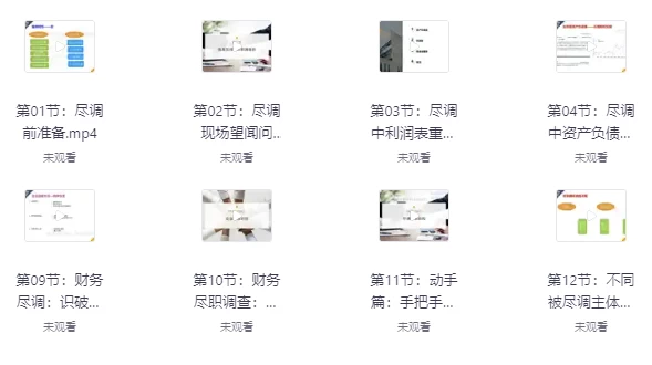 陆家嘴学堂·财务尽调基础与实务-十一网创
