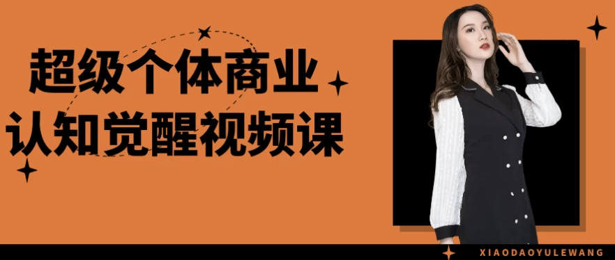 超级个体商业认知觉醒视频课-十一网创