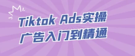 TiktokAds实操广告入门到精通-十一网创
