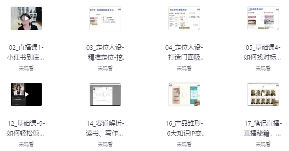 流量变现，带你轻松玩转小红书（23节视频课）-十一网创
