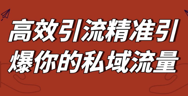 高效引流精准引爆你的私域流量-十一网创