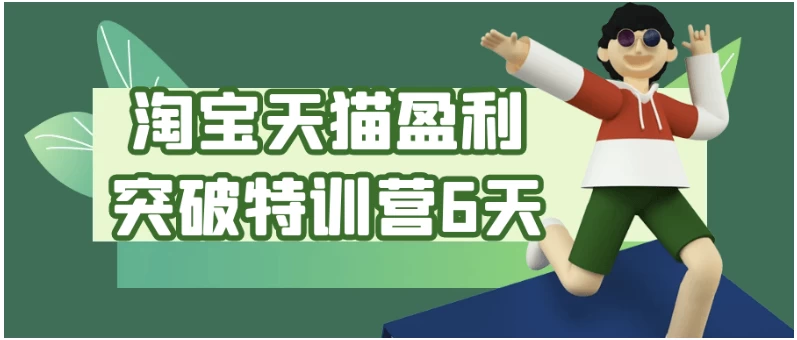 淘宝天猫盈利突破特训营6天-十一网创