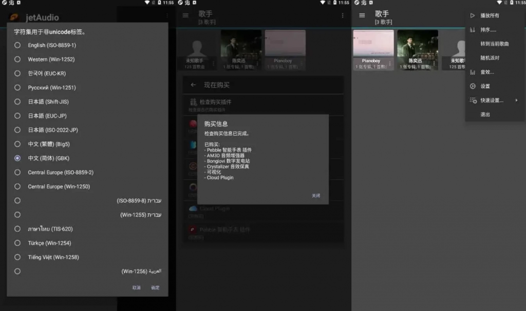 jetAudiov12.3.1最强音乐播放器，高级多语言版-十一网创