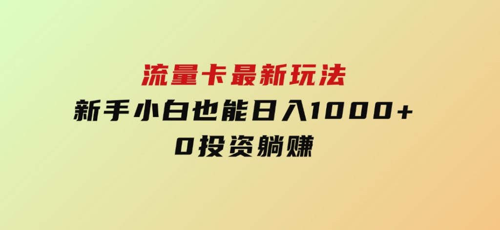 流量卡最新玩法，新手小白也能日入1000+，0投资躺赚-十一网创