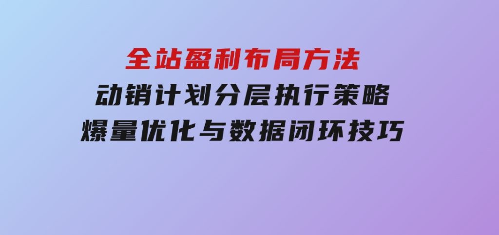 全站盈利布局方法：动销计划分层执行策略，爆量优化与数据闭环技巧-十一网创