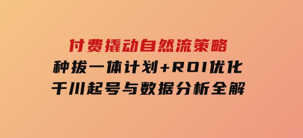 付费撬动自然流策略：种拔一体计划+ROI优化，千川起号与数据分析全解-十一网创