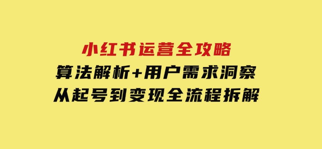 小红书运营全攻略：算法解析+用户需求洞察，从起号到变现全流程拆解-十一网创