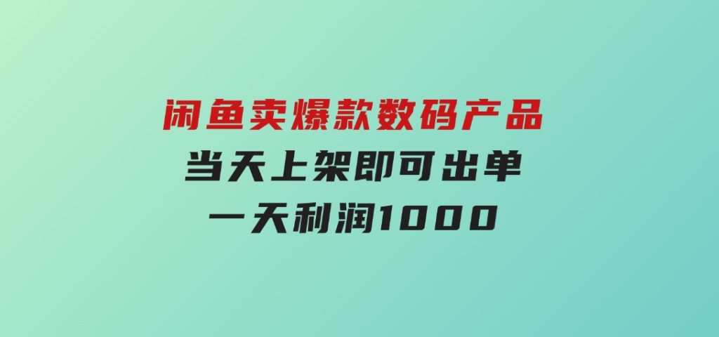 闲鱼卖爆款数码产品，当天上架即可出单，一天利润1000-十一网创