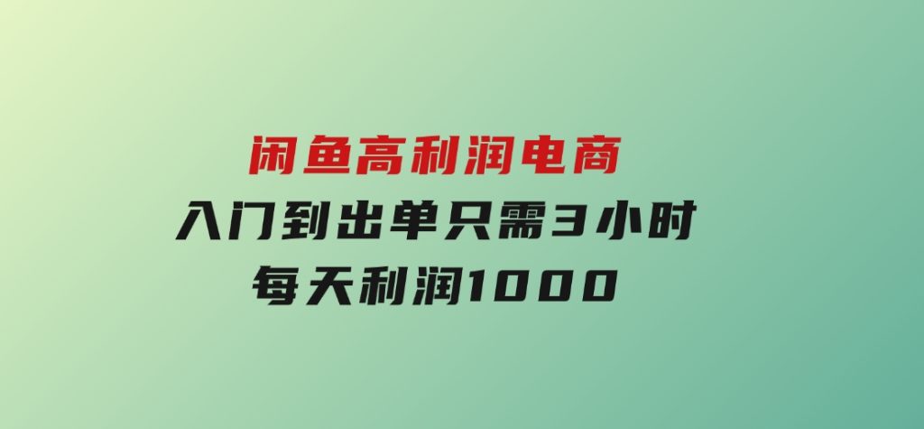 闲鱼高利润电商，入门到出单只需3小时，每天利润1000-十一网创