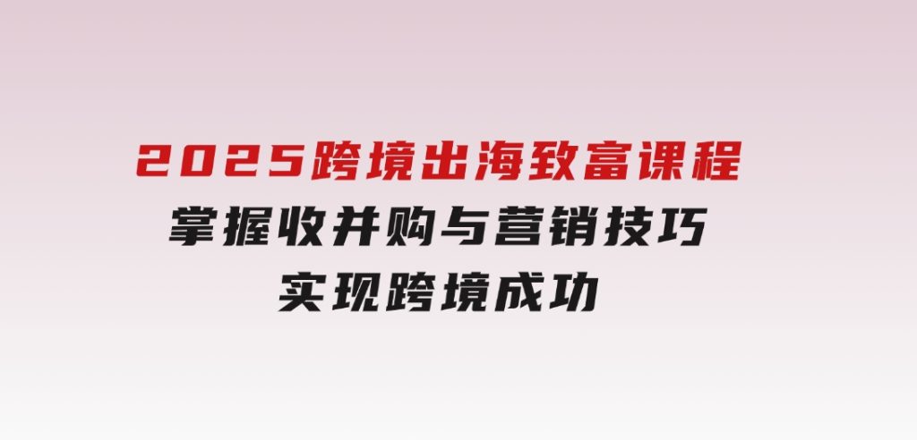 2025跨境出海致富课程，掌握收并购与营销技巧，实现跨境成功-十一网创