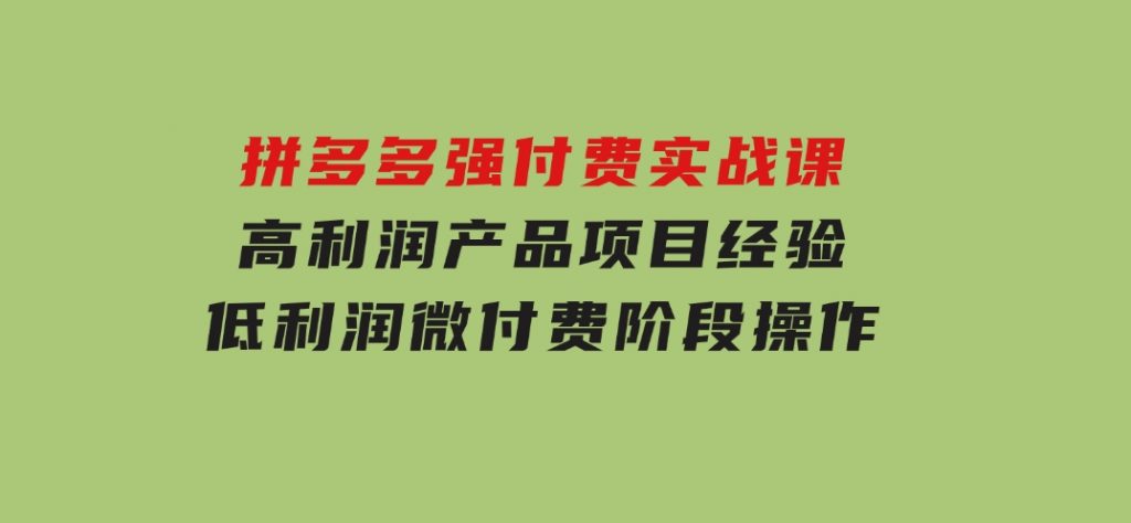 拼多多强付费实战课-44期，高利润产品项目经验，低利润微付费阶段操作-十一网创