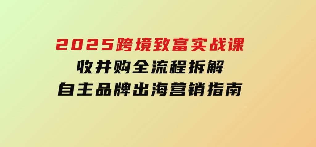 2025跨境致富实战课，收并购全流程拆解，自主品牌出海营销指南-十一网创