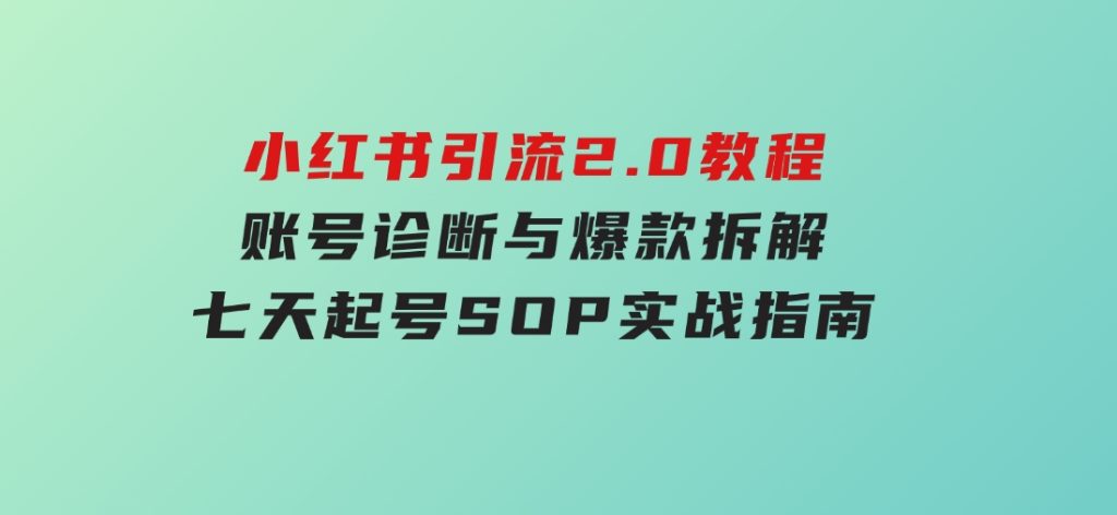 小红书引流2.0教程，账号诊断与爆款拆解，七天起号SOP实战指南-十一网创