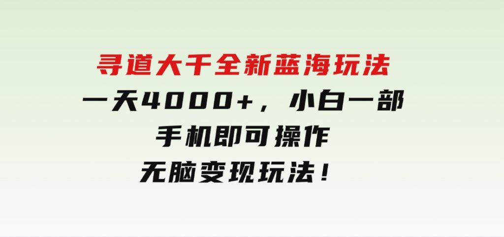 寻道大千全新蓝海玩法，一天4000+，小白一部手机即可操作，无脑变现玩法！-十一网创