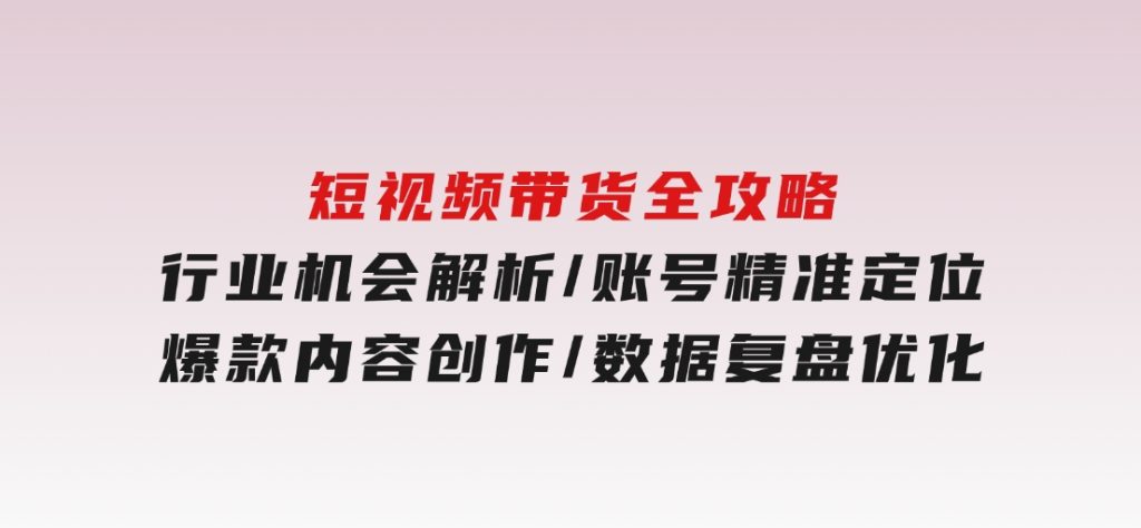 短视频带货全攻略，行业机会解析/账号精准定位/爆款内容创作/数据复盘优化-十一网创