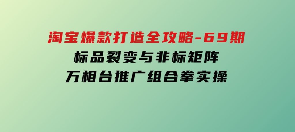 淘宝爆款打造全攻略-69期，标品裂变与非标矩阵，万相台推广组合拳实操-十一网创
