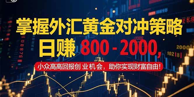 （15198期）掌握外汇黄金对冲策略，日赚800–2000，小众高回报创业机会，助你实…-十一网创