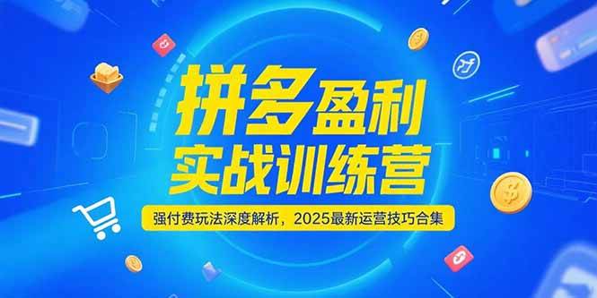 （15183期）拼多多盈利实战训练营，强付费玩法深度解析，2025最新运营技巧合集-十一网创