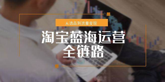 （15160期）淘宝蓝海运营全链路，从选品到流量变现，小类目突围完整方案-十一网创
