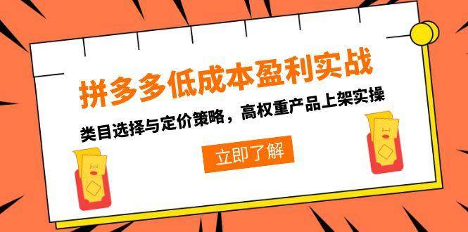 （15143期）拼多多低成本盈利实战，类目选择与定价策略，高权重产品上架实操-十一网创