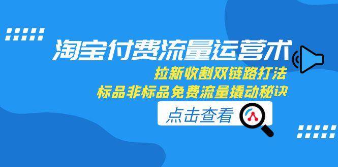（15135期）淘宝付费流量运营术，拉新收割双链路打法，标品非标品免费流量撬动秘诀-十一网创