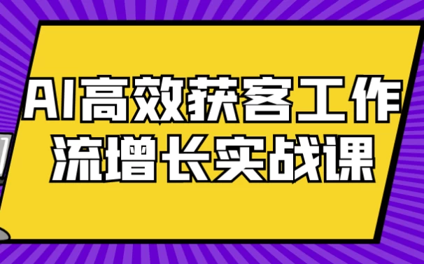 AI高效获客工作流增长实战课-十一网创
