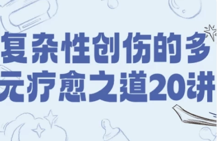 复杂性创伤的多元疗愈之道20讲-十一网创