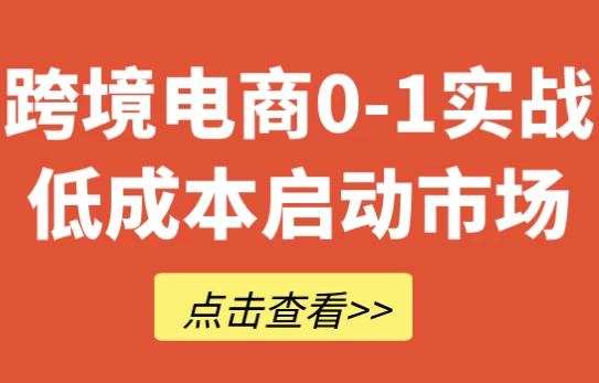 跨境电商0-1实战低成本启动市场-十一网创